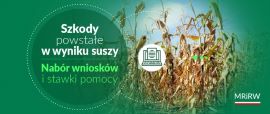 Plakat informujący o naborze wniosków w sprawie usuwania skutków suszy