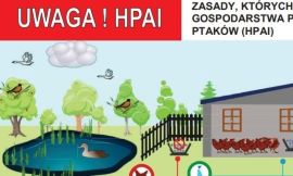 Kolorowy plakat 