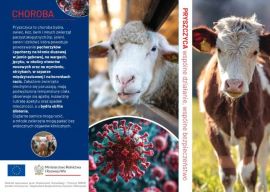 Plakat ostrzegający przed pryszczycą 