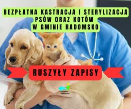 Plakat informujący o kastracji i sterylizacji zwierząt 