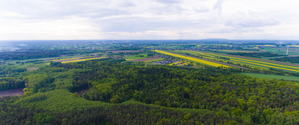 Wieża obserwacyjna w m. Grzebień