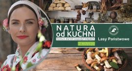 Plakat konkursu Natura od kuchni