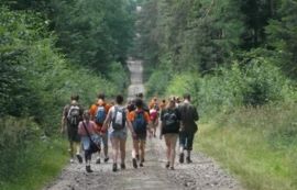 Grupa osób idąca leśnym duktem