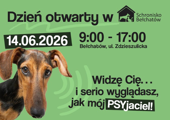 Plakat informacyjny. Widoczny pies