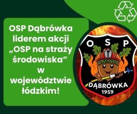 Grafika informacyjna 