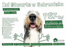 Plakat informacyjny dotyczący adopcji zwierząt 