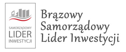 Biała tablica z napisem Brązowy Samorządowy Lider Inwestycji