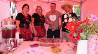 Dwie kobiety i dwaj mężczyźni stoją obok siebie
