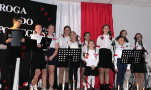 Uczestnicy Wieczoru Patriotycznego na scenie 