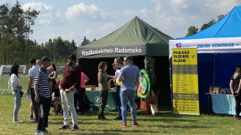 Stoiska wystawiennicze w murawie boiska