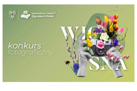 Plakat informacyjny konkursu wiosna