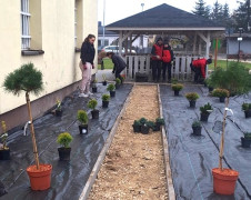 Teren rekreacyjny w trakcie budowy