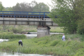 Osoby podczas sprzątania brzegów rzeki Warty