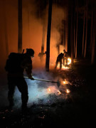 Strażacy podczas gaszenia pożaru lasu 