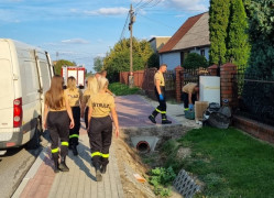 Grupa osób. Mężczyźni podnoszą lodówkę 