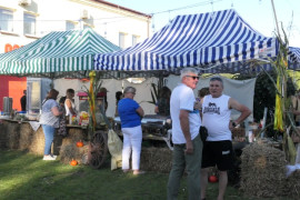 Stoiska wystawiennicze 