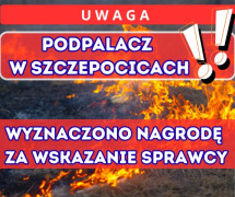Grafika informacyjna dot. podpaleń 