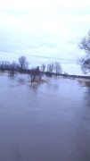 Rzeka Warta