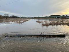 Rzeka Warta