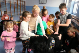 Dzieci podczas spotkania z psami rasy nowofunland 