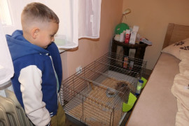 Mały chłopiec i klatka z królikiem 