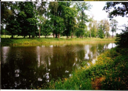 Park dworski w Strzałkowie 
