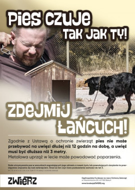Plakat informacyjny dot. akcji ph. "Pies czuje tak jak TY"