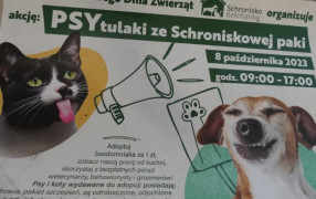 Plakat informujący o akcji - adoptuj bezdomniaka za 1 zł. Na plakacie widoczny kot i pies 