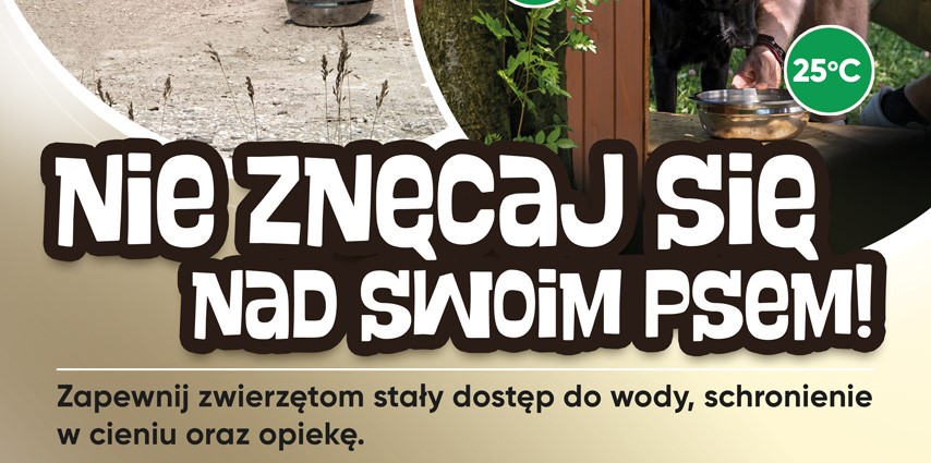 Plakat informacyjny dot. akcji "Nie znęcaj się nad psem"