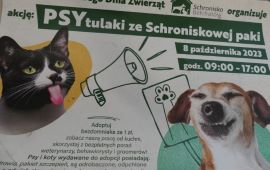 Plakat zachęcający do adopcji zwierząt z bełchatowskiego schroniska 